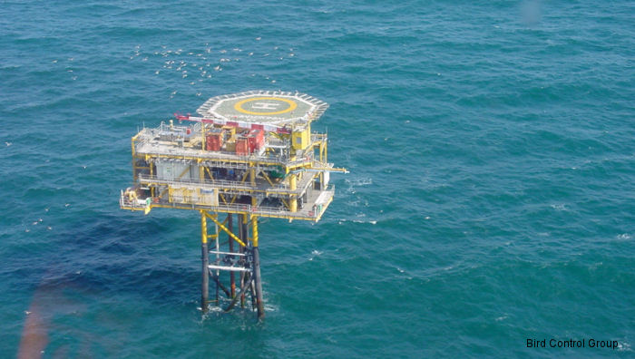Oil and gas stakeholders collaborate to repel birds from offshore installations and maintain safety