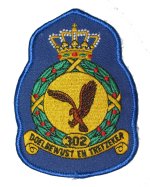 302 Squadron