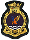 829 Squadron
