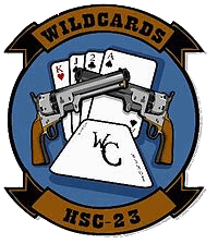 Helicopter Sea Combat Squadron Two Three