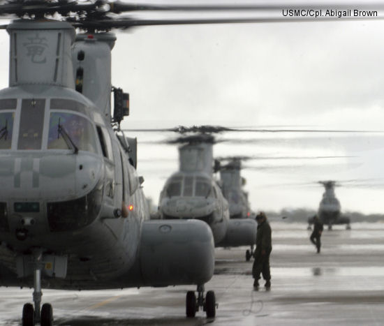 HMM-265 celebrates 45 years with Phrogs