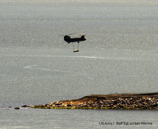 Terns nesting among military history on Great Gull Island
