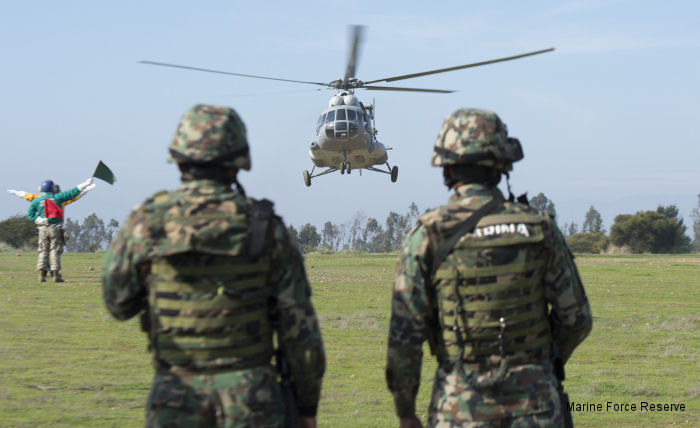 Representatives from Argentina, Brazil, Canada, Chile, Colombia, Mexico, Paraguay, and United States Reserve Marines are participating in Partnership of the Americas from August 11-22, 2014.