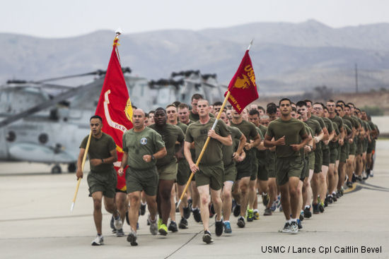 Marines HMMT-164 celebrate 50 years