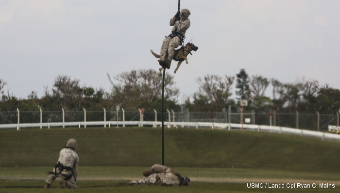 Fast-ropes with Dogs From MV-22B Osprey