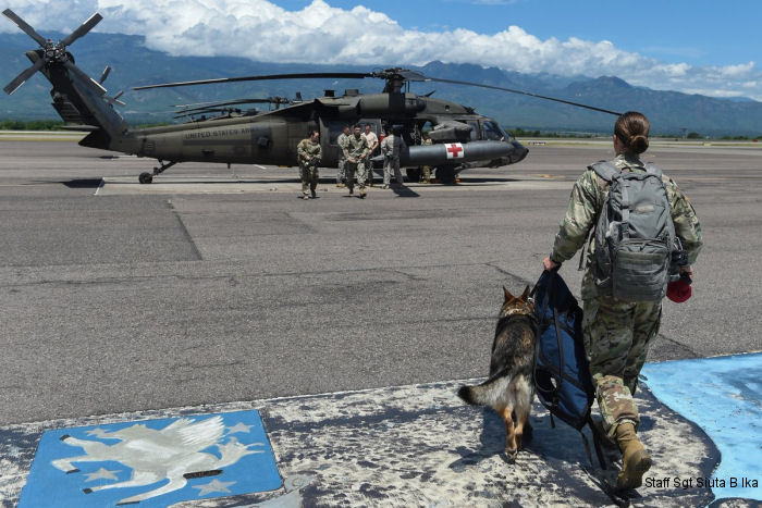 JTF-Bravo K9 Training in Honduras