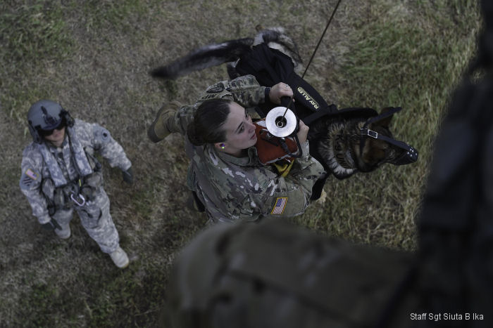 JTF-Bravo K9 Training in Honduras