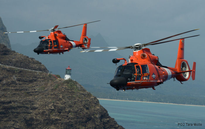 Coast Guard Dolphins Keeping Busy in Hawaii