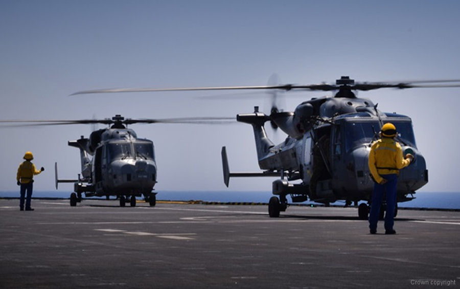 Royal Navy Wildcats Returned from French Mission