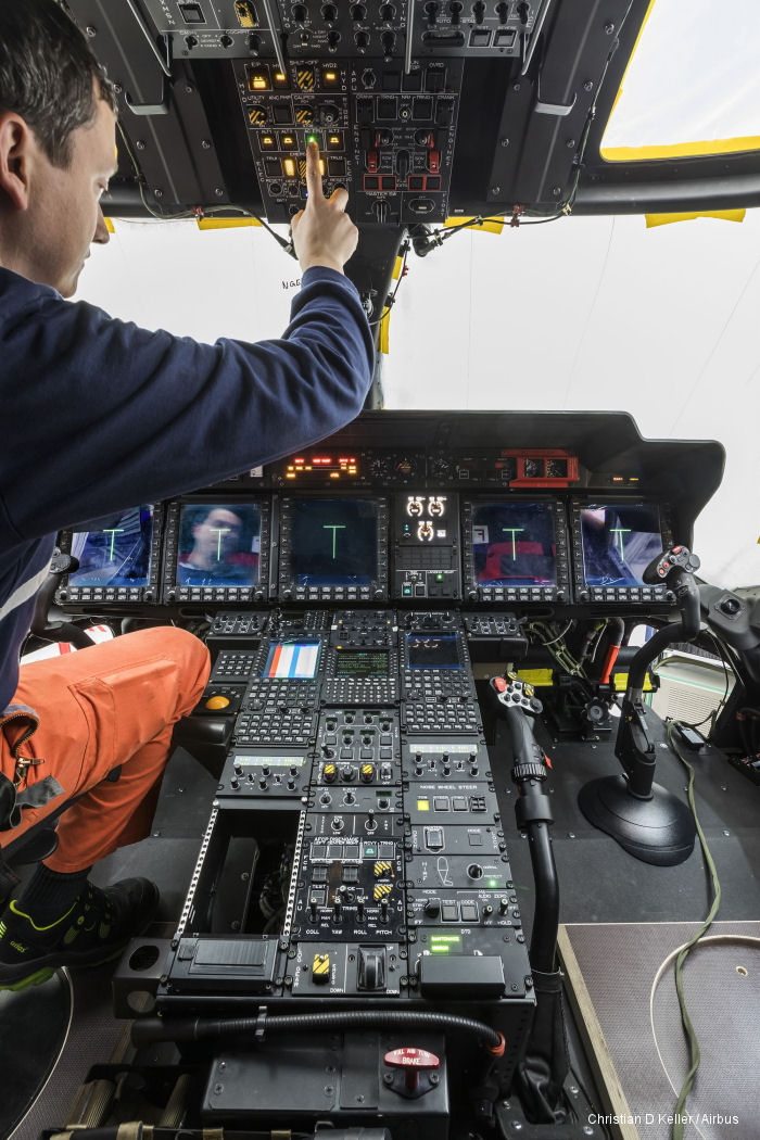 German Sea Lion Towards First Delivery