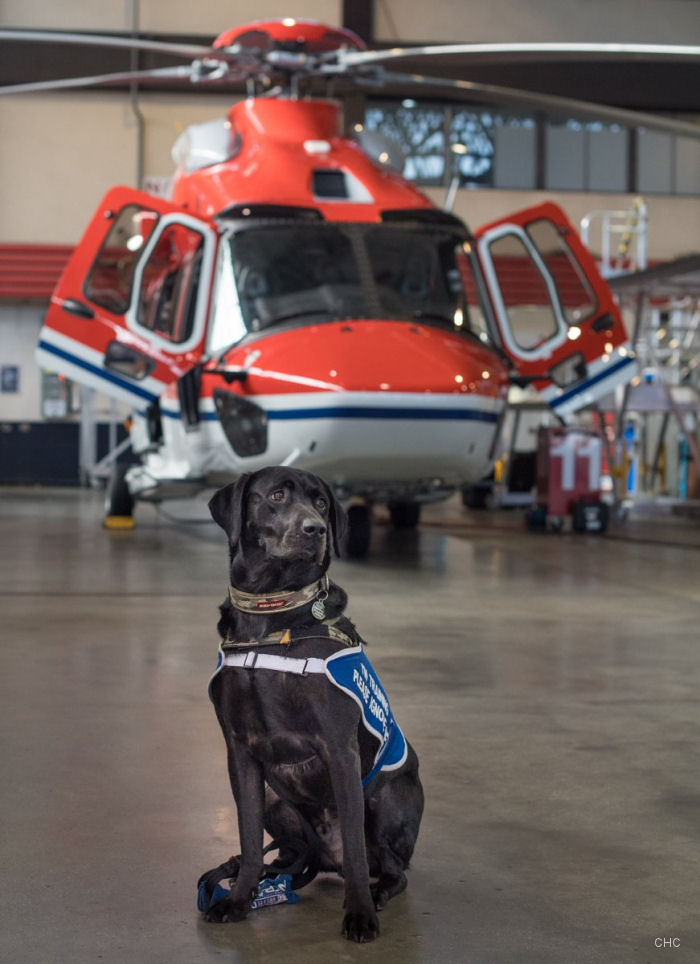 CHC Aberdeen Sponsorship for Veterans With Dogs