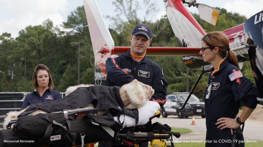 First Air Ambulance for K9