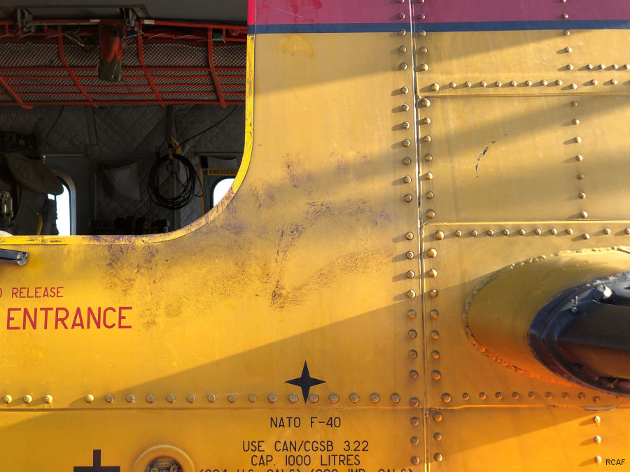 Polar Bear Damages Canadian Cormorant