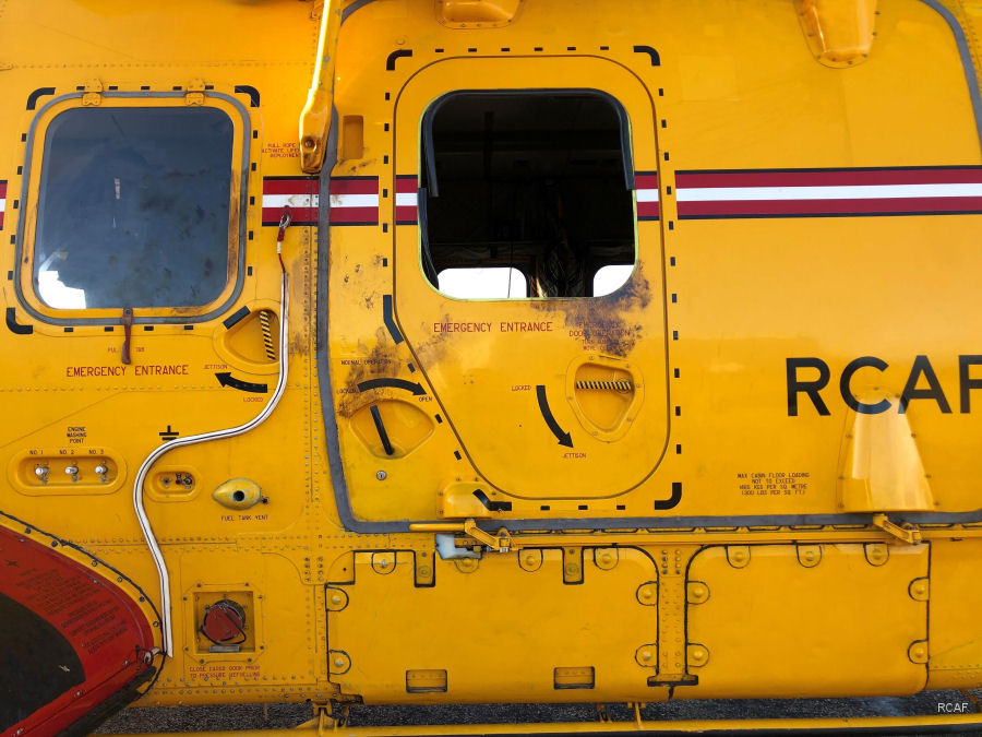 Polar Bear Damages Canadian Cormorant