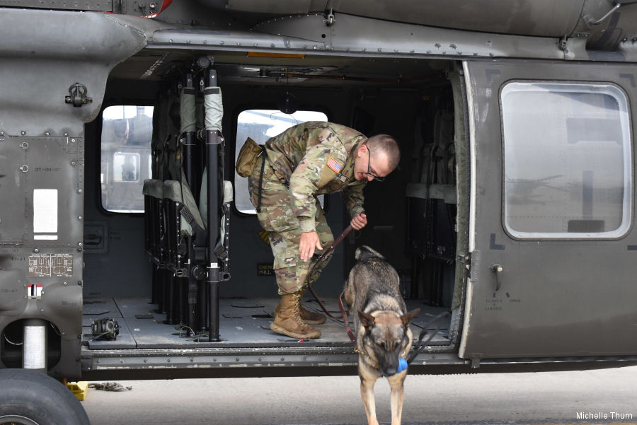 US Army Military Dogs get Medical Evacuation Training in Germany