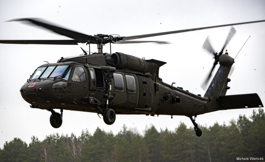 US Army Military Dogs get Medical Evacuation Training in Germany