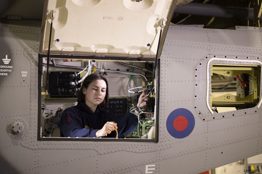 Leonardo WIST Support for British Wildcat