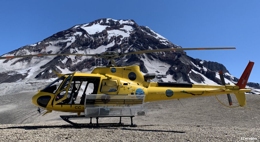 Sentinels of the Volcanoes in Chile