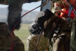 NH90 TTH in  Royal New Zealand Air Force