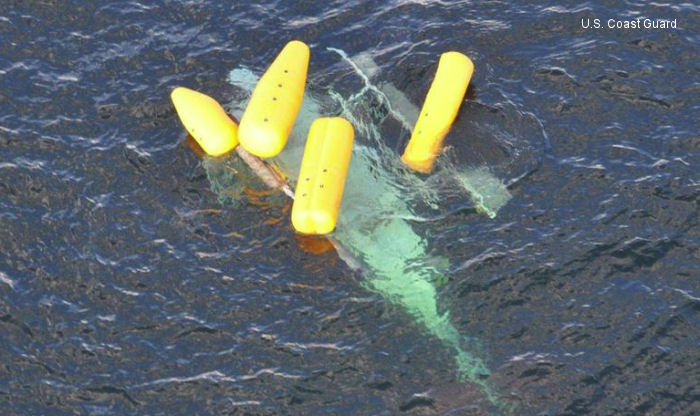 Detailed history and photos of helicopter Bell 206L-3 Long Ranger Serial 51466 Register N54LP N54SN used by Panther Helicopters Inc Track service timeline and current status.