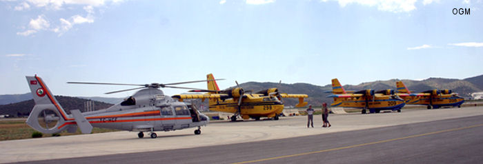 Orman Genel Müdürlüğü General Directorate of Forestry