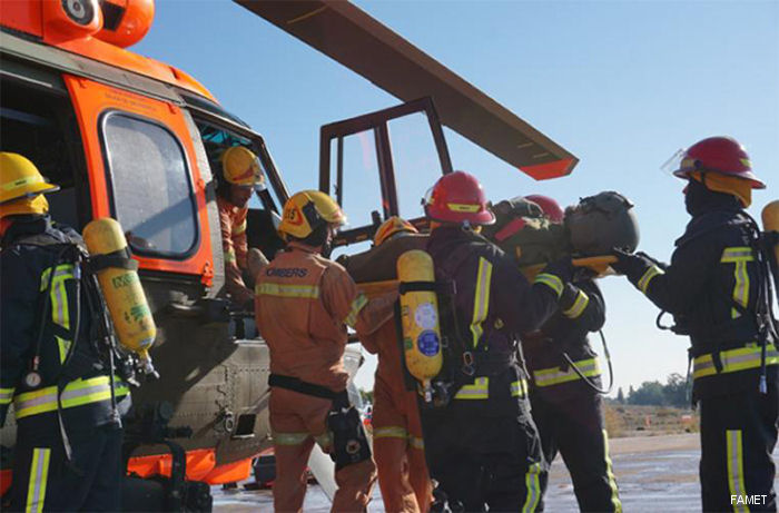 BHELEME II Fuerzas Aeromóviles del Ejército de Tierra