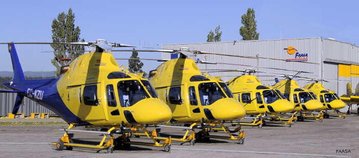 Pegasus Aero Group AW119 Koala