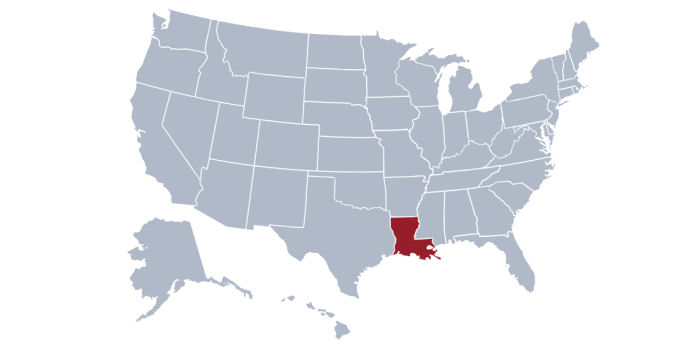 louisiana flight aviation