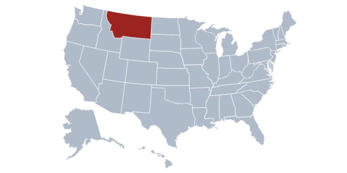 montana flight aviation