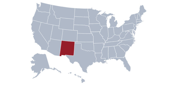 new mexico flight aviation