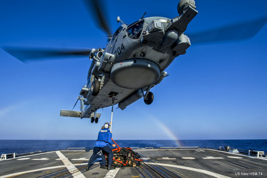 US Navy Seahawk