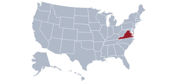 virginia flight aviation