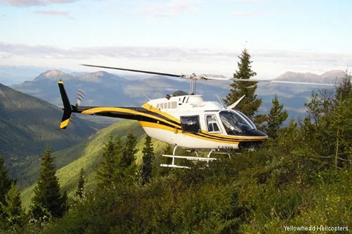 Yellowhead Helicopters 206