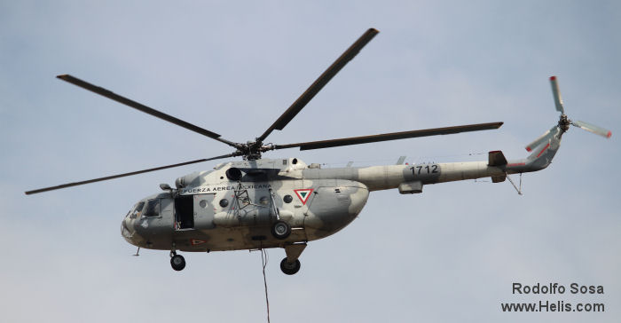 Fuerza Aerea Mexicana Mi-8/17 Hip (2nd Gen)